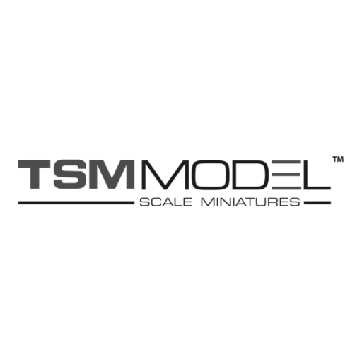 TSM MODEL